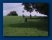 Torbay Tigers taking bearings